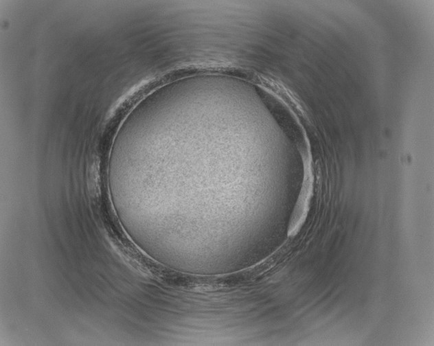 X0000081290684200701251653