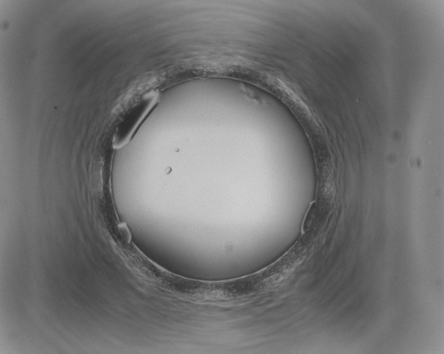 X0000081290685200701251653