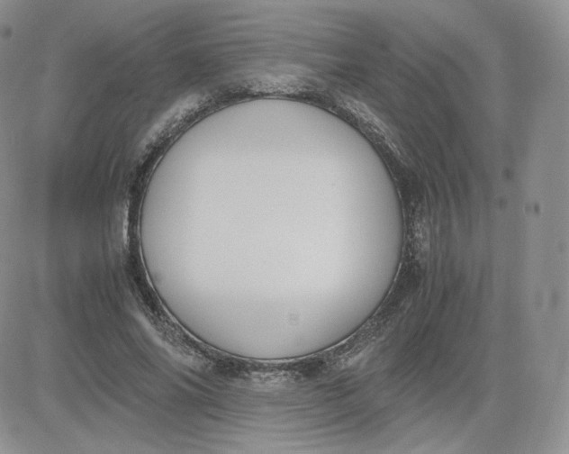 X0000081290686200701251653