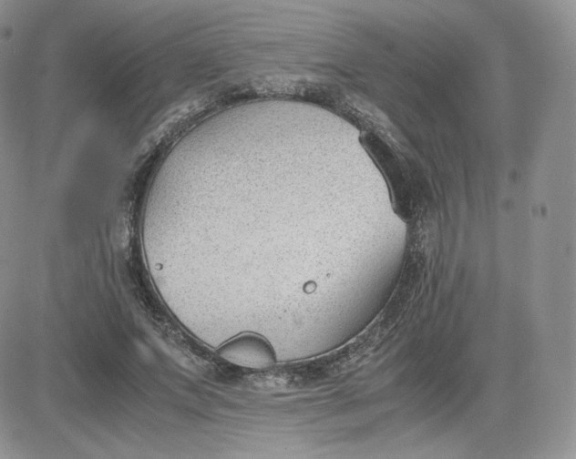 X0000081290687200701251653