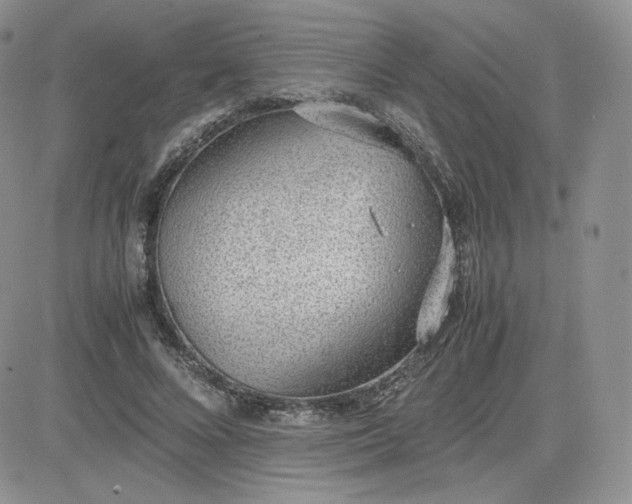 X0000081290688200701251653