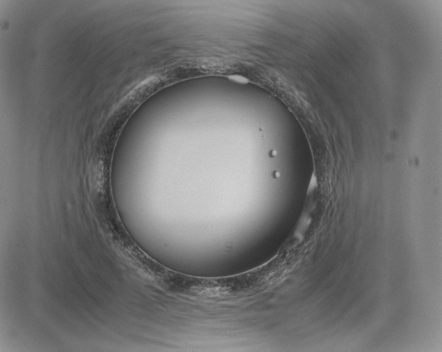 X0000081290689200701251653