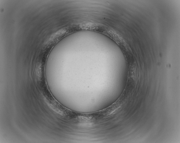 X0000081290690200701251653