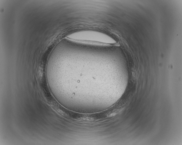 X0000081290691200701251653