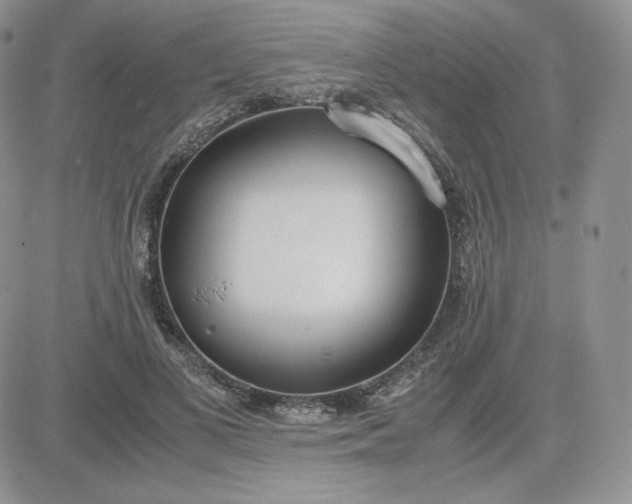 X0000081290693200701251653