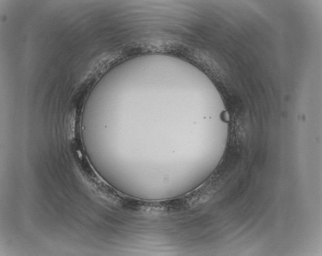 X0000081290694200701251653