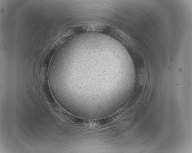 X0000081290695200701251653