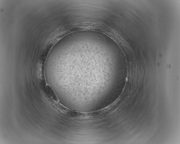 X0000081290696200701251653