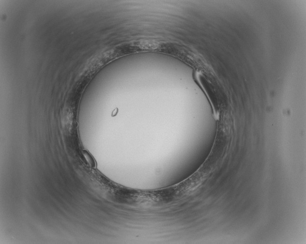 X0000081290697200701251653