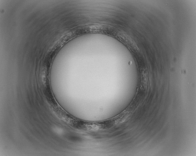 X0000081290698200701251653