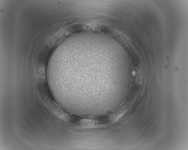 X0000081290699200701251653