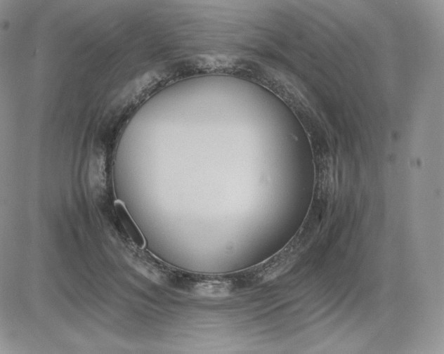 X0000081290700200701251653