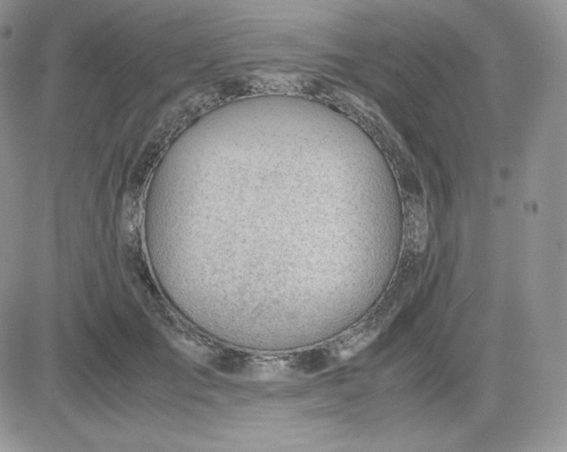 X0000081290701200701251653