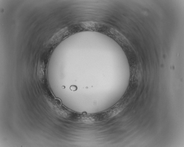 X0000081290702200701251653