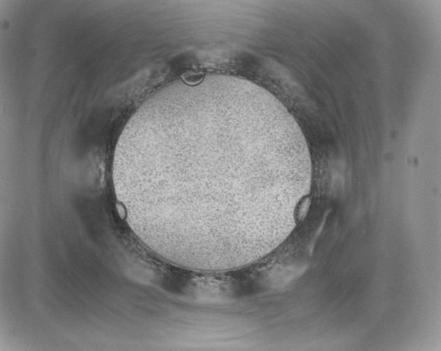 X0000081290703200701251653