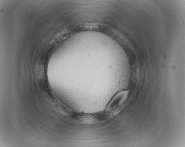 X0000081290704200701251653