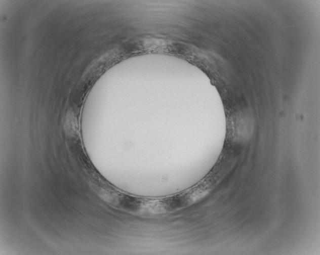 X0000081290705200701251653