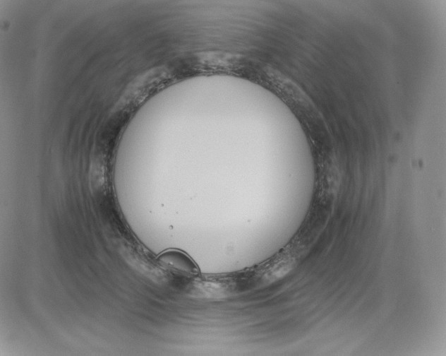 X0000081290706200701251653