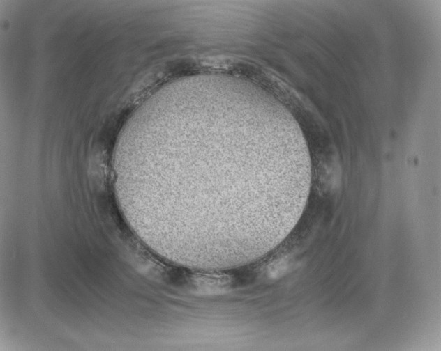 X0000081290707200701251653