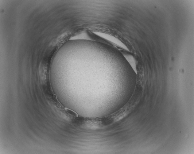 X0000081290708200701251653