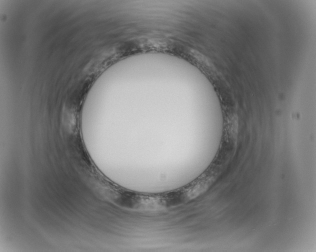 X0000081290709200701251653