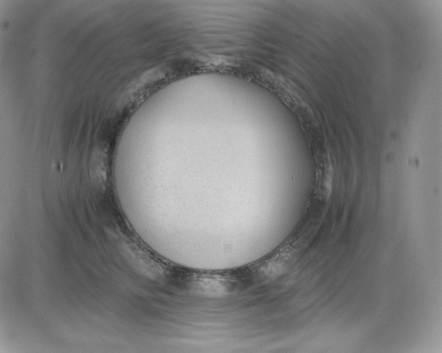 X0000081290710200701251653