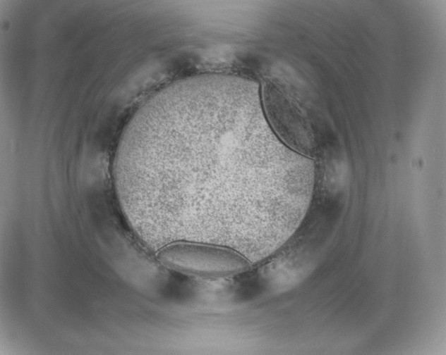 X0000081290711200701251653