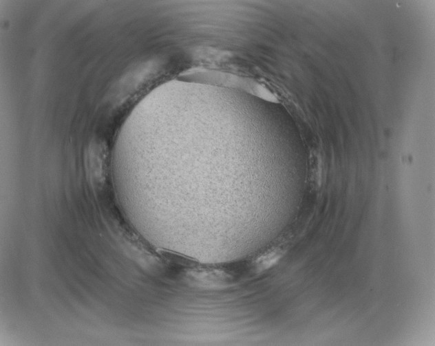 X0000081290712200701251653