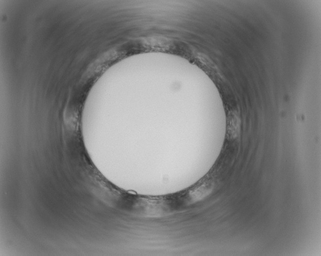 X0000081290713200701251653