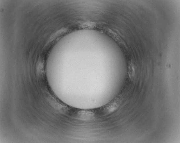 X0000081290714200701251653