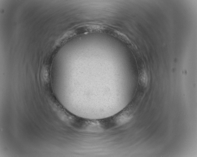 X0000081290715200701251653