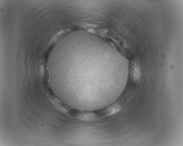 X0000081290716200701251653