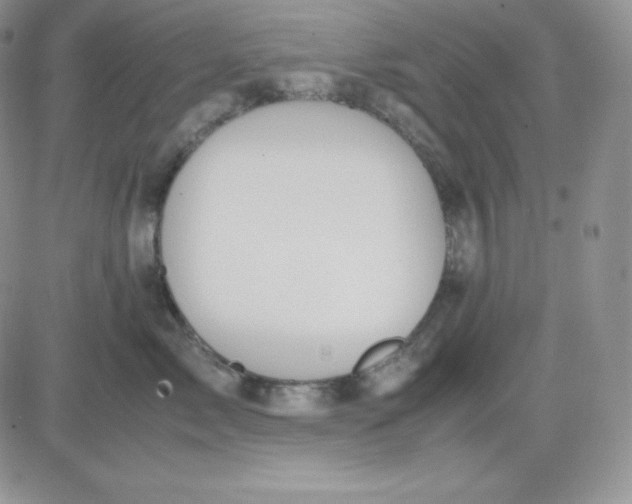 X0000081290717200701251653