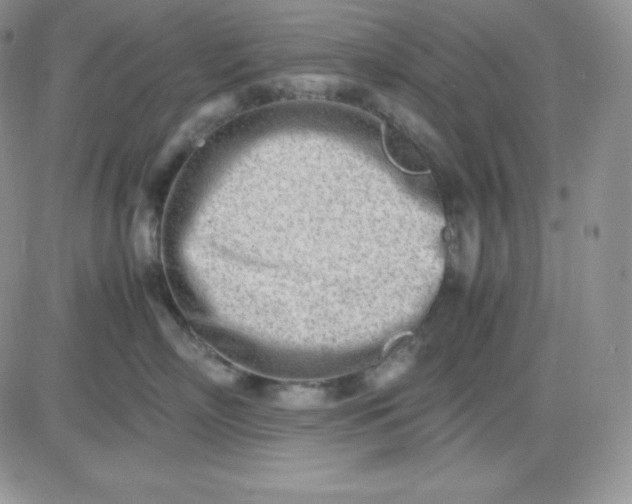 X0000081290718200701251653