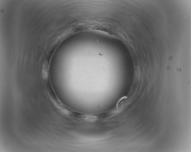 X0000081290719200701251653