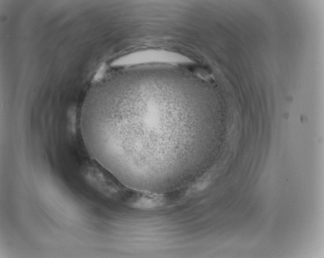 X0000081290720200701251653