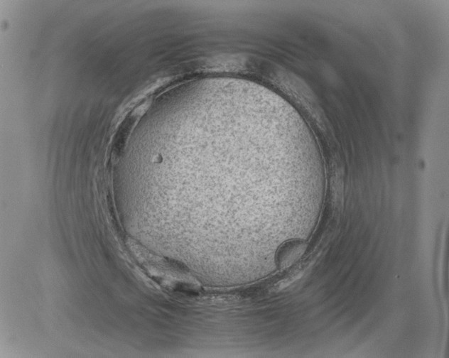 X0000081290721200701251652