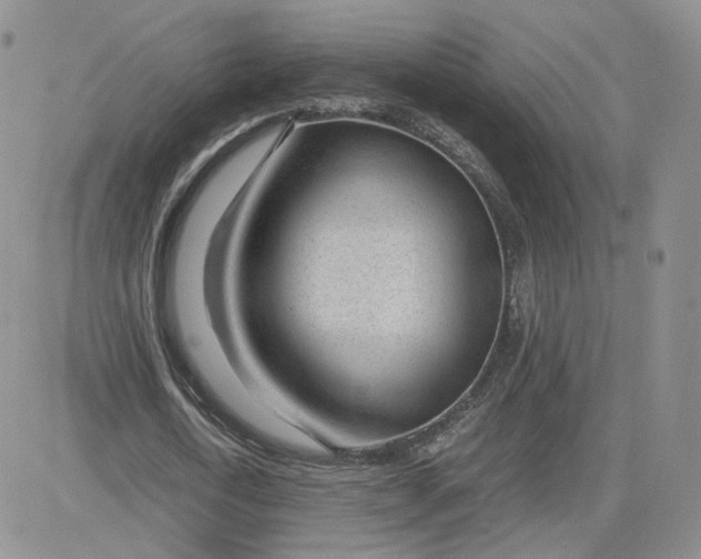 X0000081290722200701251652