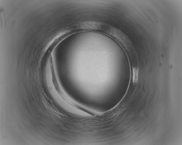 X0000081290723200701251652