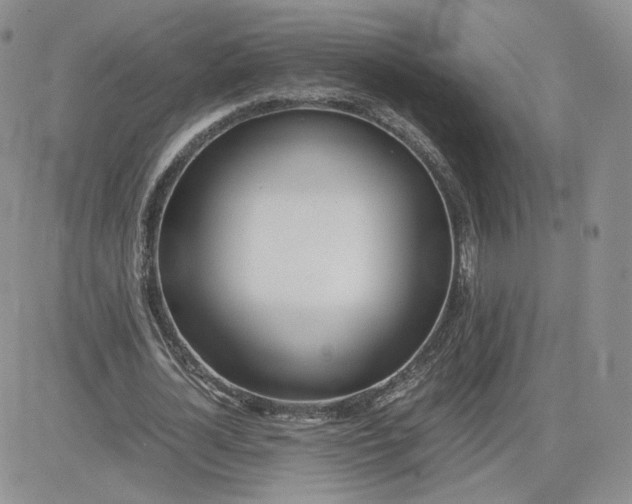 X0000081290724200701251652