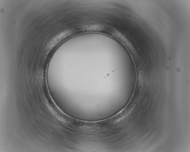 X0000081290725200701251652