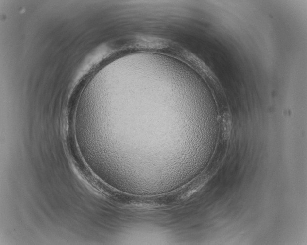 X0000081290726200701251652