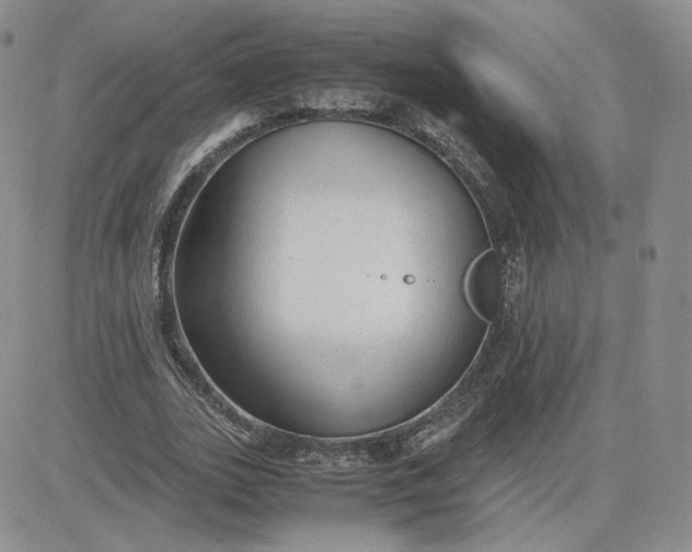 X0000081290727200701251652