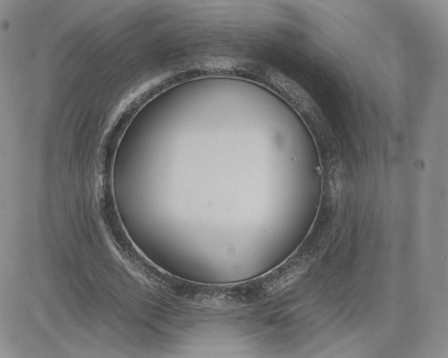 X0000081290728200701251652