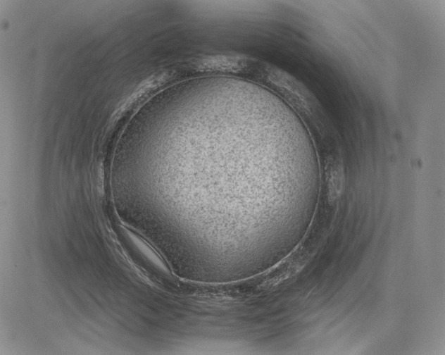 X0000081290729200701251652