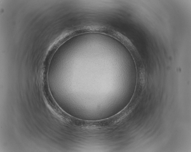 X0000081290730200701251652