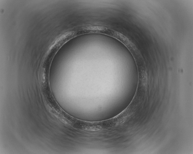 X0000081290731200701251652