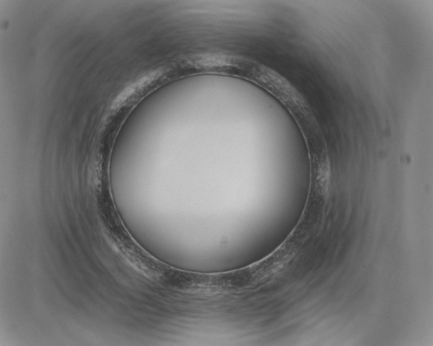 X0000081290732200701251652