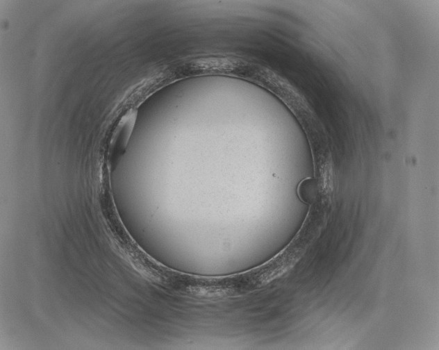 X0000081290733200701251652