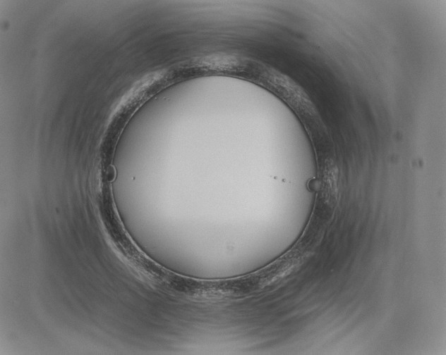 X0000081290734200701251652